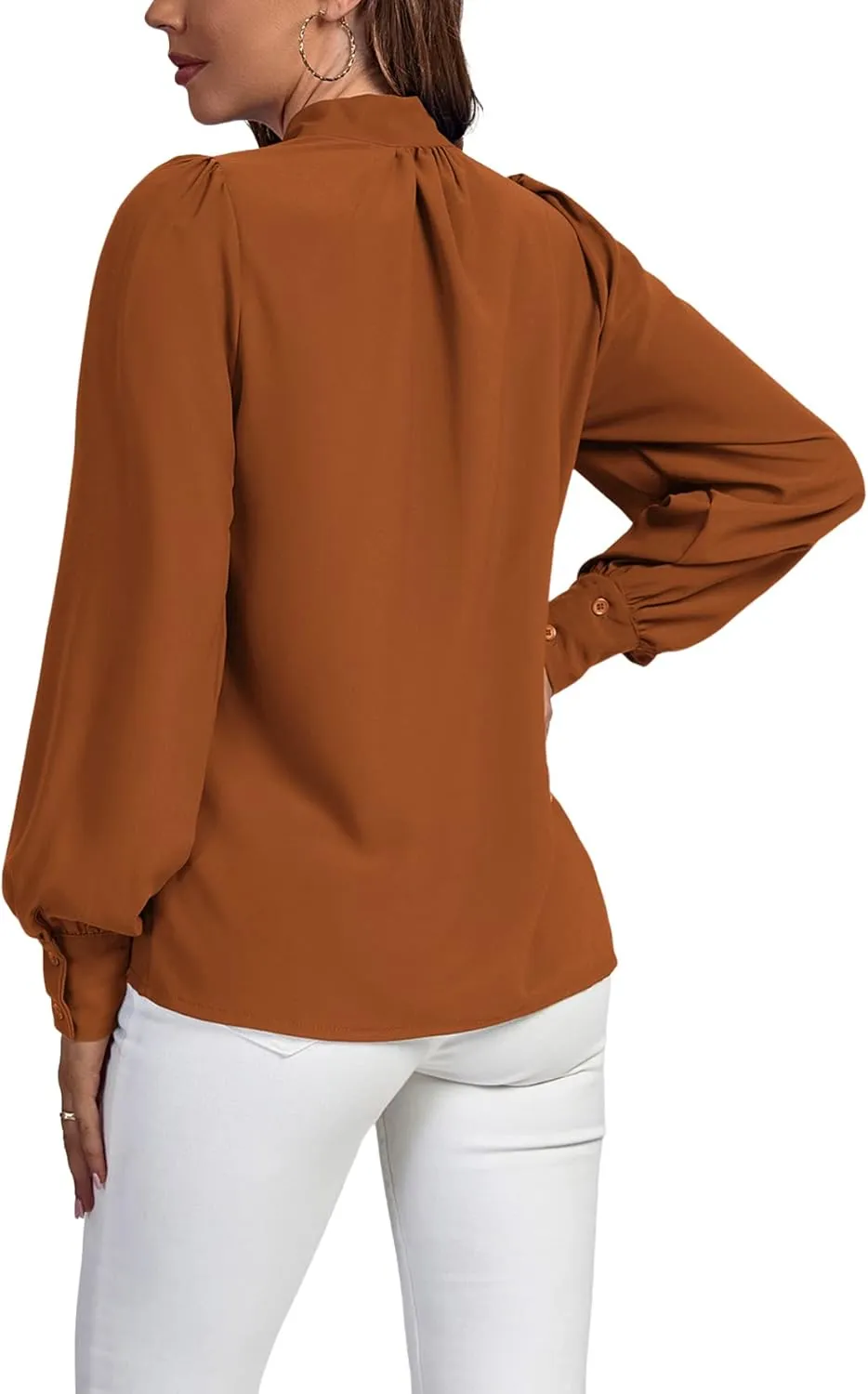 Vrtige Women's Elegant Bow Tie Neck Long Sleeve Blouse Office Top Shirt