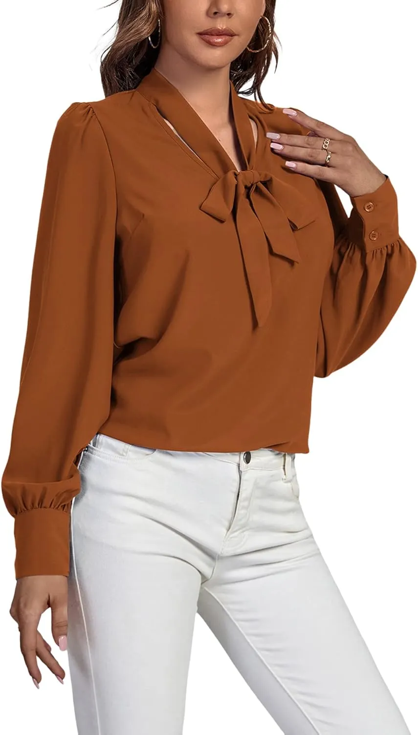 Vrtige Women's Elegant Bow Tie Neck Long Sleeve Blouse Office Top Shirt