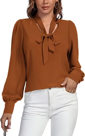 Vrtige Women's Elegant Bow Tie Neck Long Sleeve Blouse Office Top Shirt