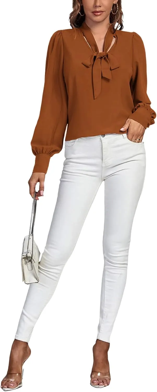 Vrtige Women's Elegant Bow Tie Neck Long Sleeve Blouse Office Top Shirt